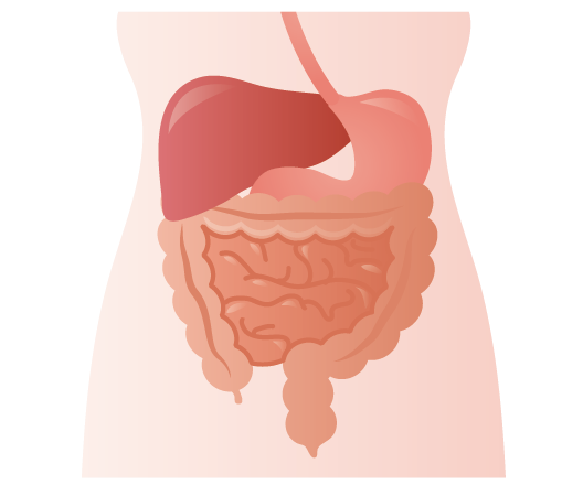 消化器内科について