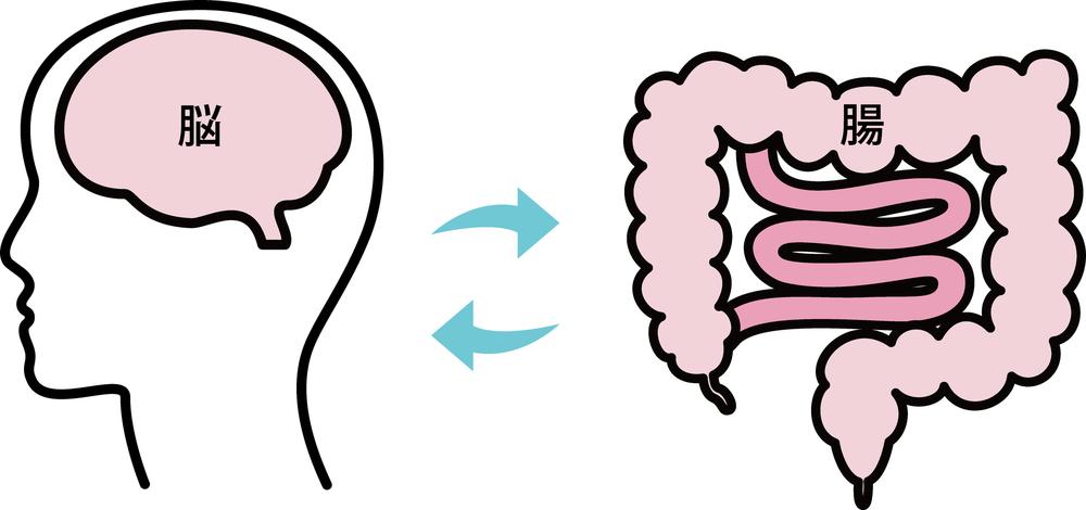 過敏性腸症候群の原因